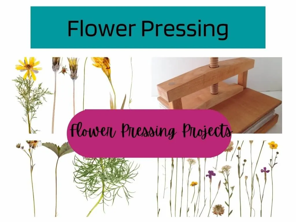 Flower Pressing
