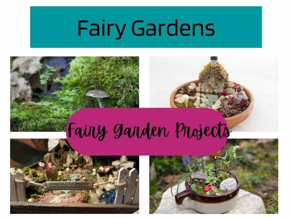 fairy gardens