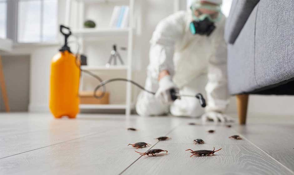 Top Signs Your Orlando Business Needs Professional Pest Control