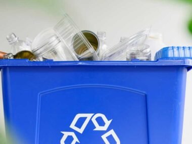 Benefits of Plastic Recycling for the Environment