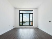 Nick gereffi Biography: Family and Career Life - The Curiously Creative