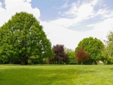 Creating-a-Low-Maintenance-Outdoor-Space-Without-Sacrificing-Style