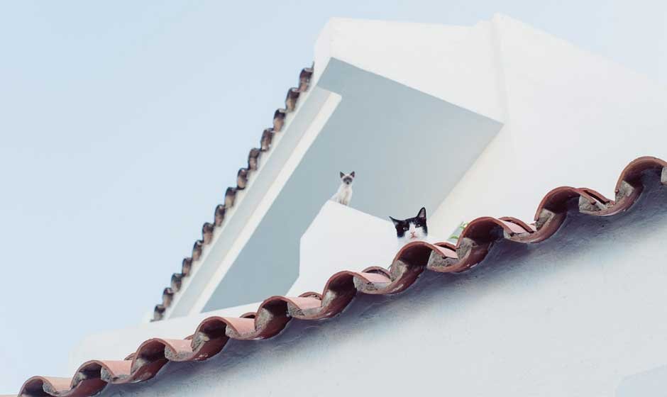 How-to-Extend-the-Life-of-Your-Roof-with-Proper-Care