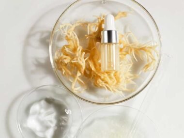 Sea Moss Capsules, Powder, Or Gel? Explaining The Benefits Of Each