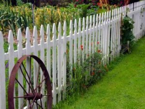 Best-Fence-Options-for-Urban-Living-in-Cambridge