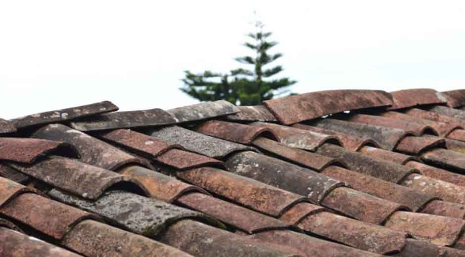Common-Seasonal-Problems-Homeowners-Overlook-Until-It’s-Too-Late