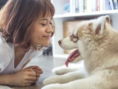 Essential-Pet-Care-Tips-for-Busy-People-Who-Love-Their-Furry-Friends
