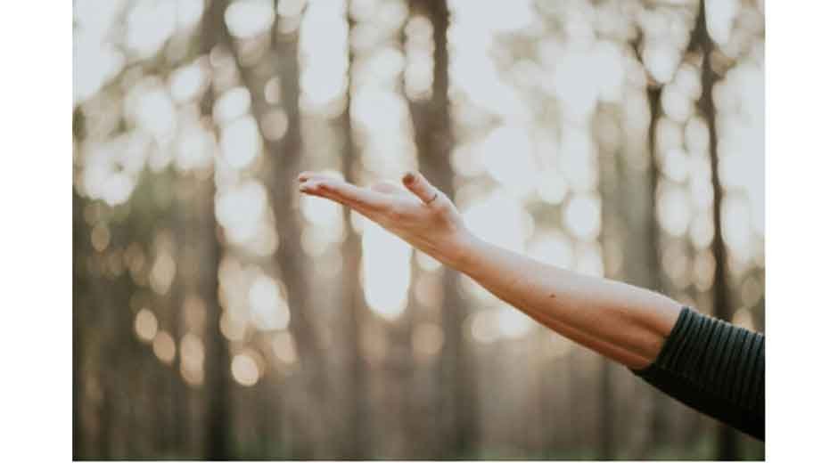 From Reactive to Preventive: A New Approach to Everyday Wellness