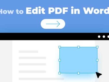 Why You Should Make PDFs Editable for Teams