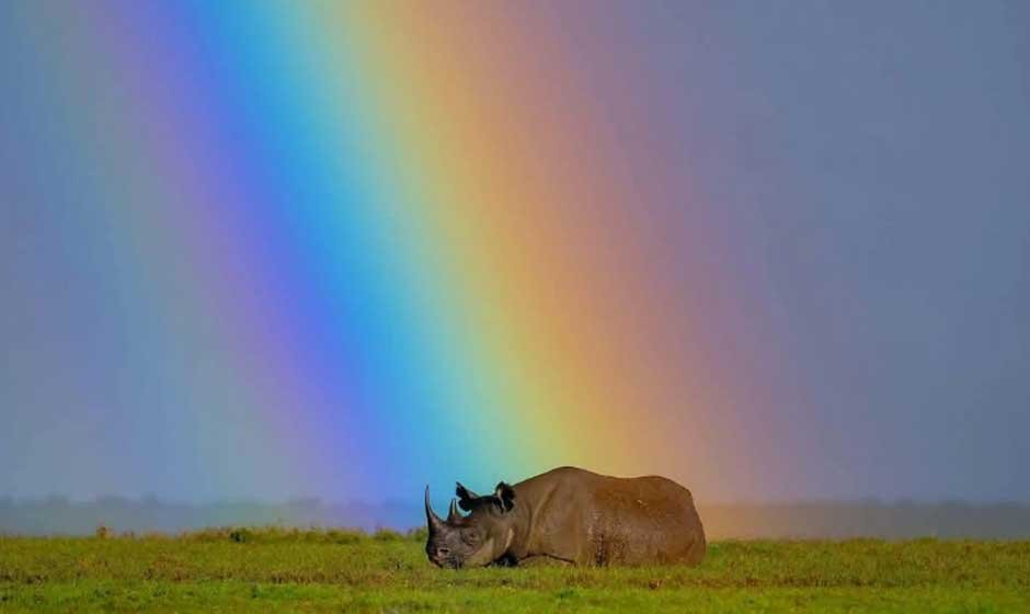 10.-Planning-the-Ultimate-Tanzania-Safari