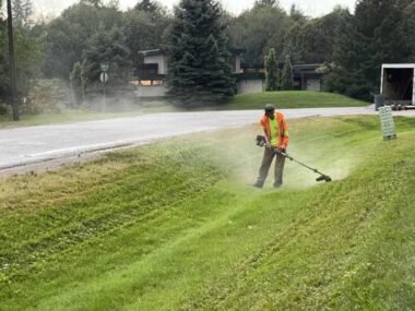 Because You've Got Better Things to Do Than Cut Grass