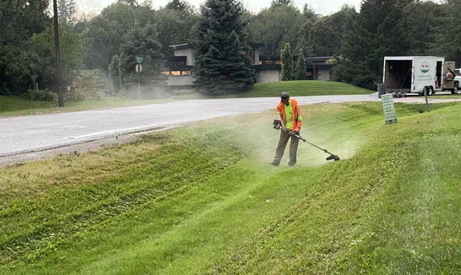 Because You've Got Better Things to Do Than Cut Grass