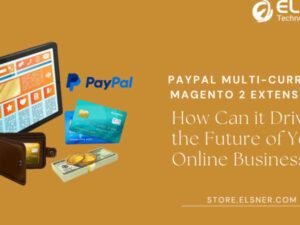 PayPal Multi-Currency Magento 2 Extensions: How Can it Drive the Future of Your Online Business?