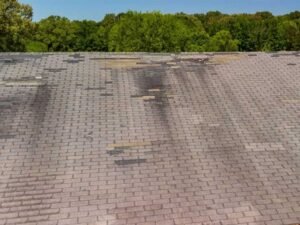 Signs Your Florida Home Needs a Roof Replacement After Hurricane Season