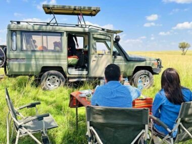 Tanzania Safari Adventures