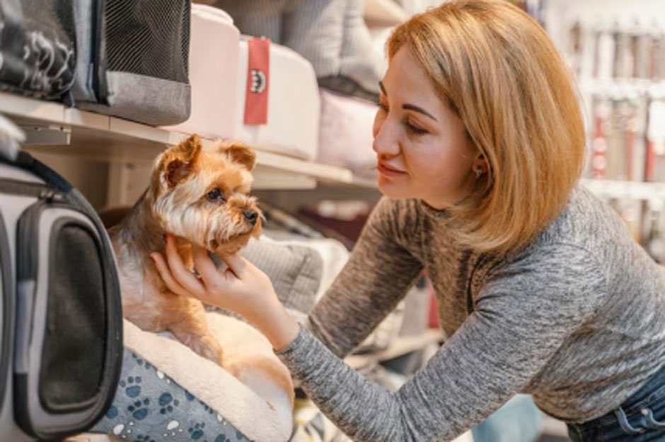 What To Know Before Buying A Teacup Puppy At A Low Price