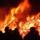 Are You a Victim of the Eaton Fire