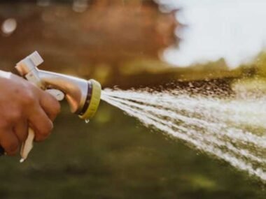 Common Lawn Care Mistakes That Can Cost You