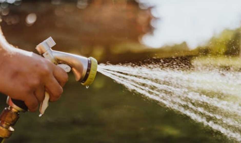 Common Lawn Care Mistakes That Can Cost You