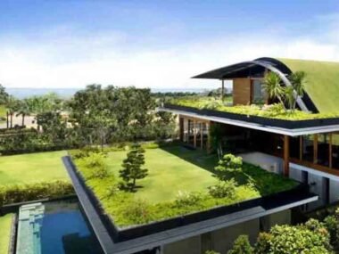 Eco-friendly Choices for Creating a Sustainable Home