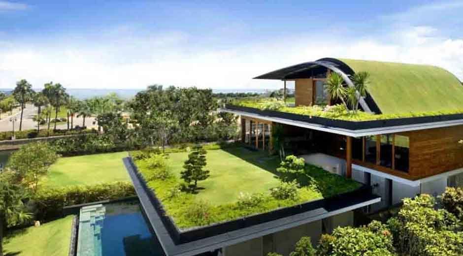 Eco-friendly Choices for Creating a Sustainable Home