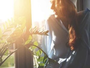 Expert-Window-Services-to-Improve-Energy-Efficiency