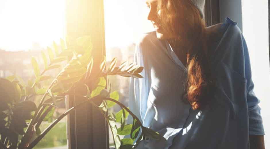 Expert-Window-Services-to-Improve-Energy-Efficiency