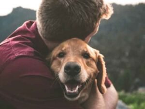 Furry Friends and Human Hearts: A Bond Beyond Words