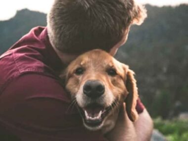 Furry Friends and Human Hearts: A Bond Beyond Words
