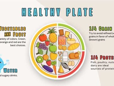 How To Build A Balanced Plate During Meal Planning