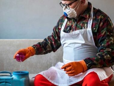 How To Determine The Right Pest Control Products To Use At Home