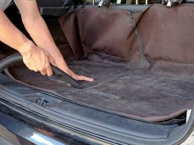 How To Get Rid Of Pet Hair From Car Interiors