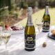 Prosecchini