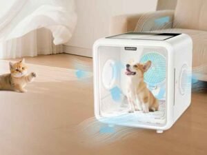 Rainy Day Rescue: Keeping Your Dog Clean and Dry Indoors
