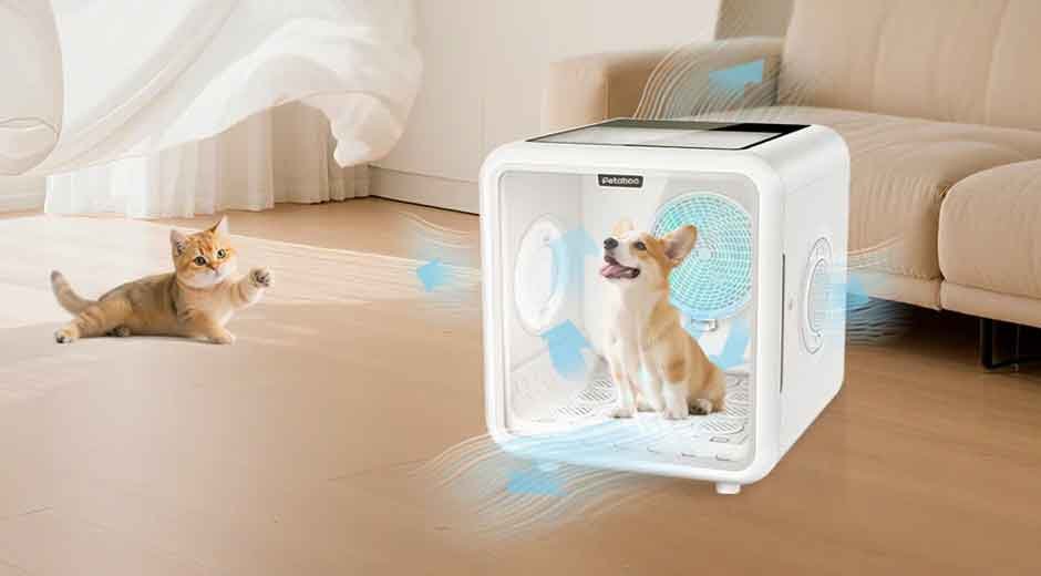 Rainy Day Rescue: Keeping Your Dog Clean and Dry Indoors