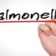 What is Salmonella