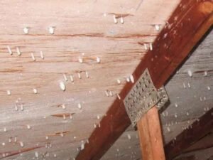 What’s Hiding in Your Ceiling Might Be the Reason You’re Freezing