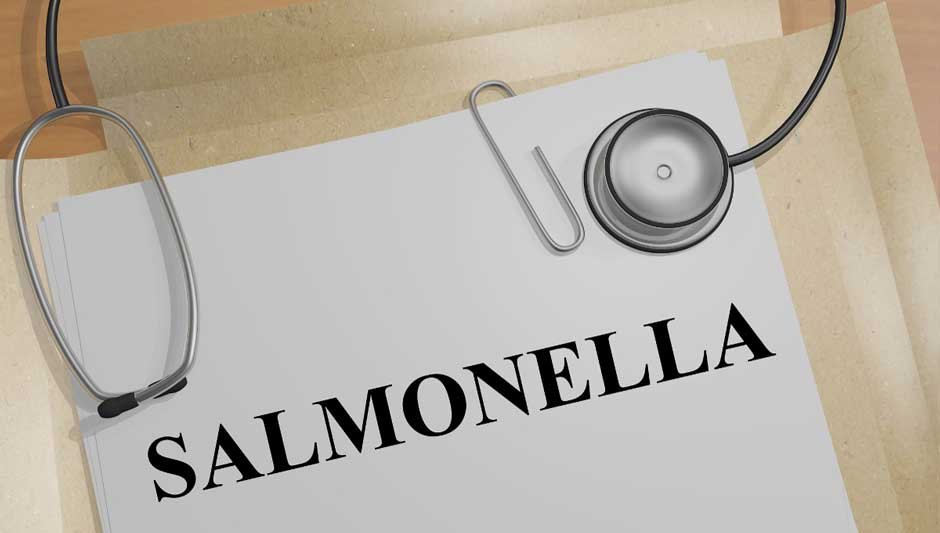 salmonella-medical-doctor
