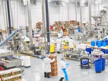 So You Want to Understand Food and Beverage Processing