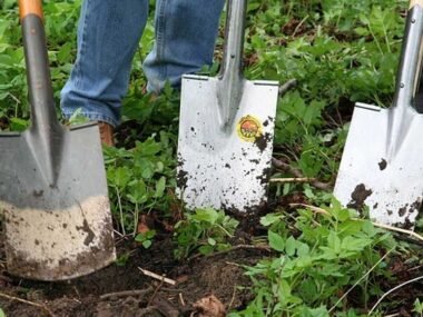 Creating Safer Streets