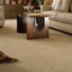 Expert Tips to Buy Carpet Flooring in Las Vegas Without Overspending