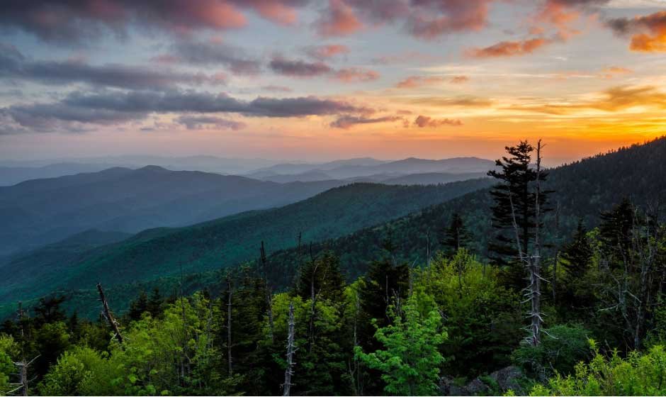 Family Adventure Awaits