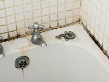 How-to-Identify-and-Prevent-Mold-Growth-Due-to-Plumbing-Issues