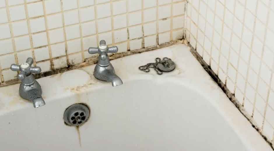 How-to-Identify-and-Prevent-Mold-Growth-Due-to-Plumbing-Issues