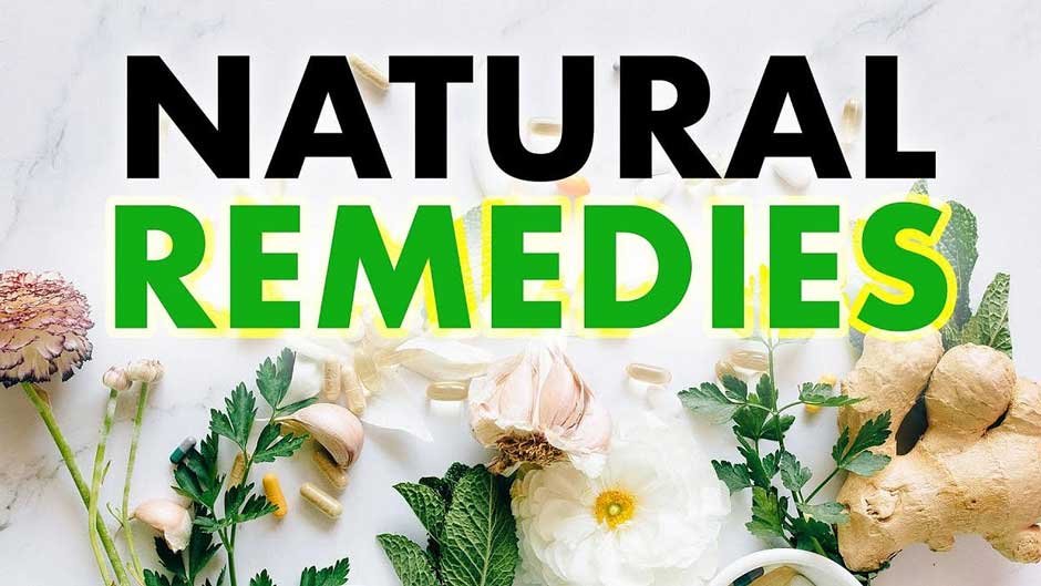 A Guide to Natural Wellness Remedies