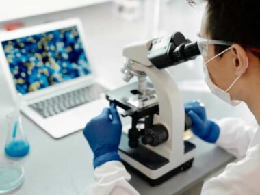 Exploring Research Compounds and Their Role in Health Studies