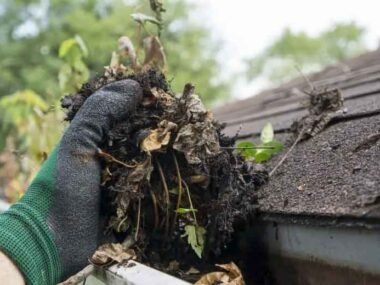 How-Clogged-Gutters-Lead-to-Costly-Repairs