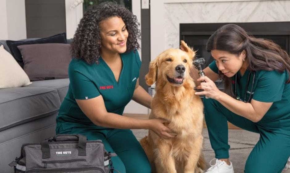 The Growing Demand for At-Home Veterinary Services in Portland