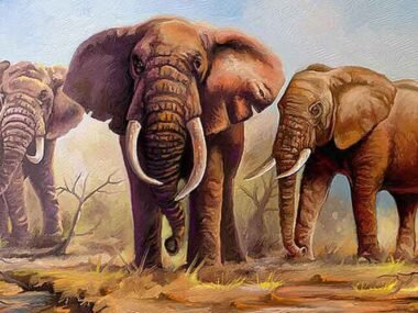 The Perfect Blend of Aesthetics and Elephant-Level Durability