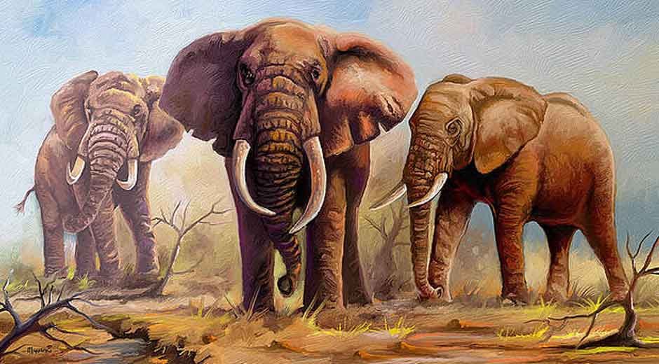 The Perfect Blend of Aesthetics and Elephant-Level Durability